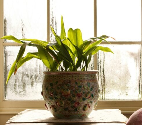 How To Stop Condensation on Windows