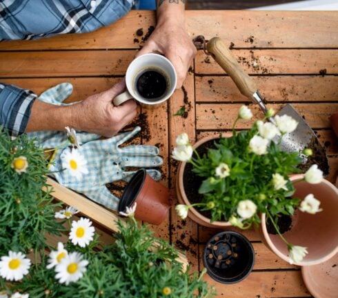 How To Grow a Balcony Garden