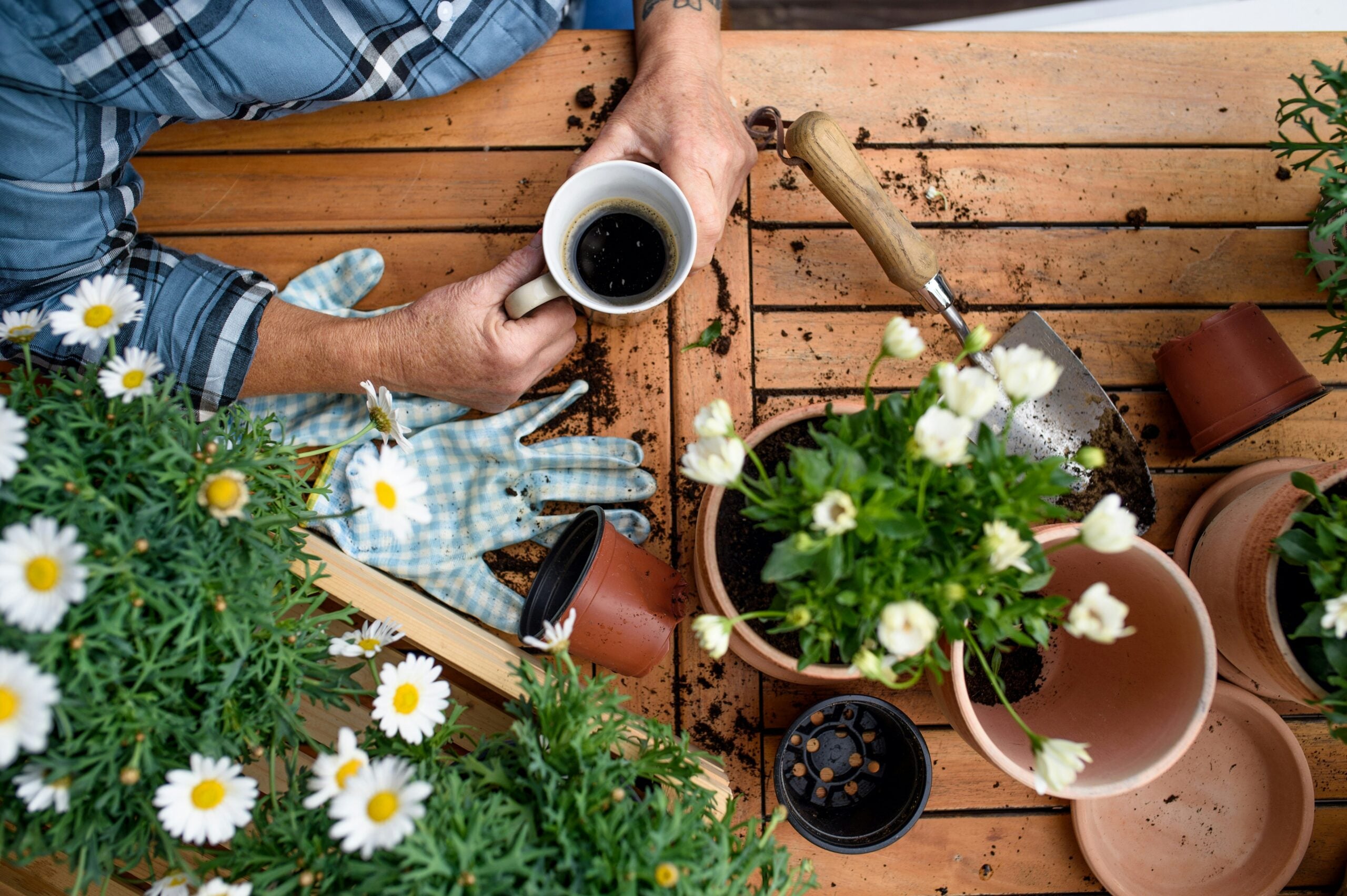 How To Grow a Balcony Garden