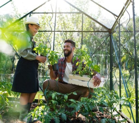 Your Greenhouse Glass FAQs
