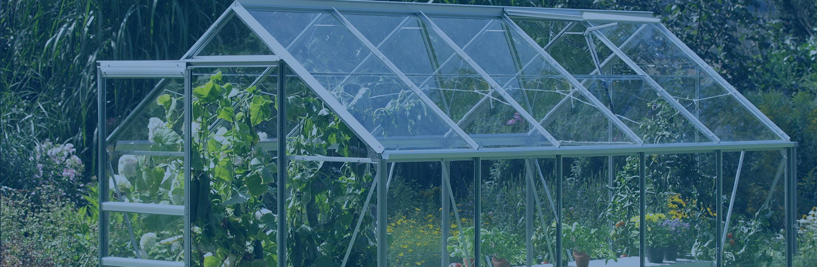 Greenhouse Glass Glaziers Norwich